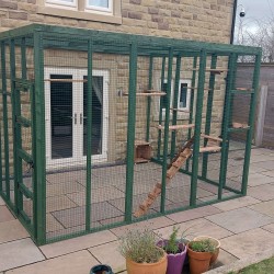 3sided lean to Catio Enclosure 275cm x 275cm 275cm x 275cm tall Painted 3sided lean to Catio Enclosure 275cm x 275cm 275cm x 275cm tall Painted